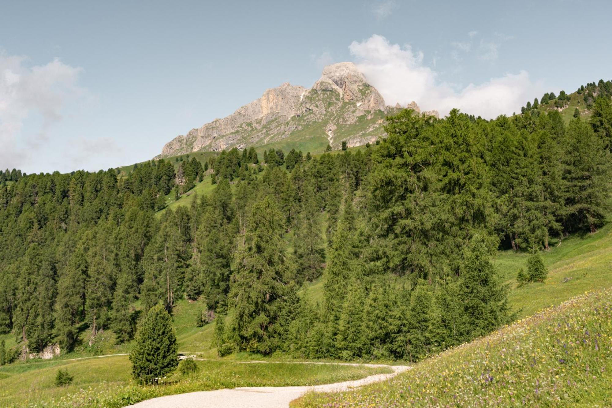 Ciasa Iachin Mountain Apartment San Martino in Badia Exterior foto