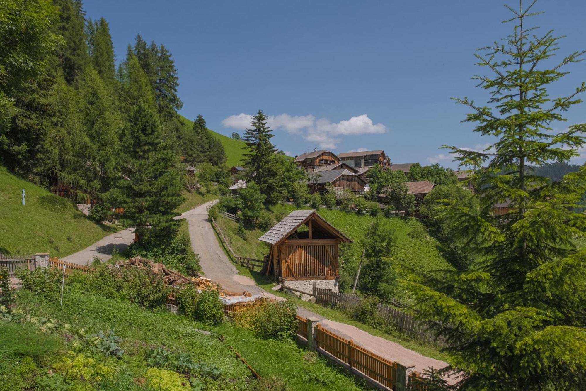 Ciasa Iachin Mountain Apartment San Martino in Badia Exterior foto