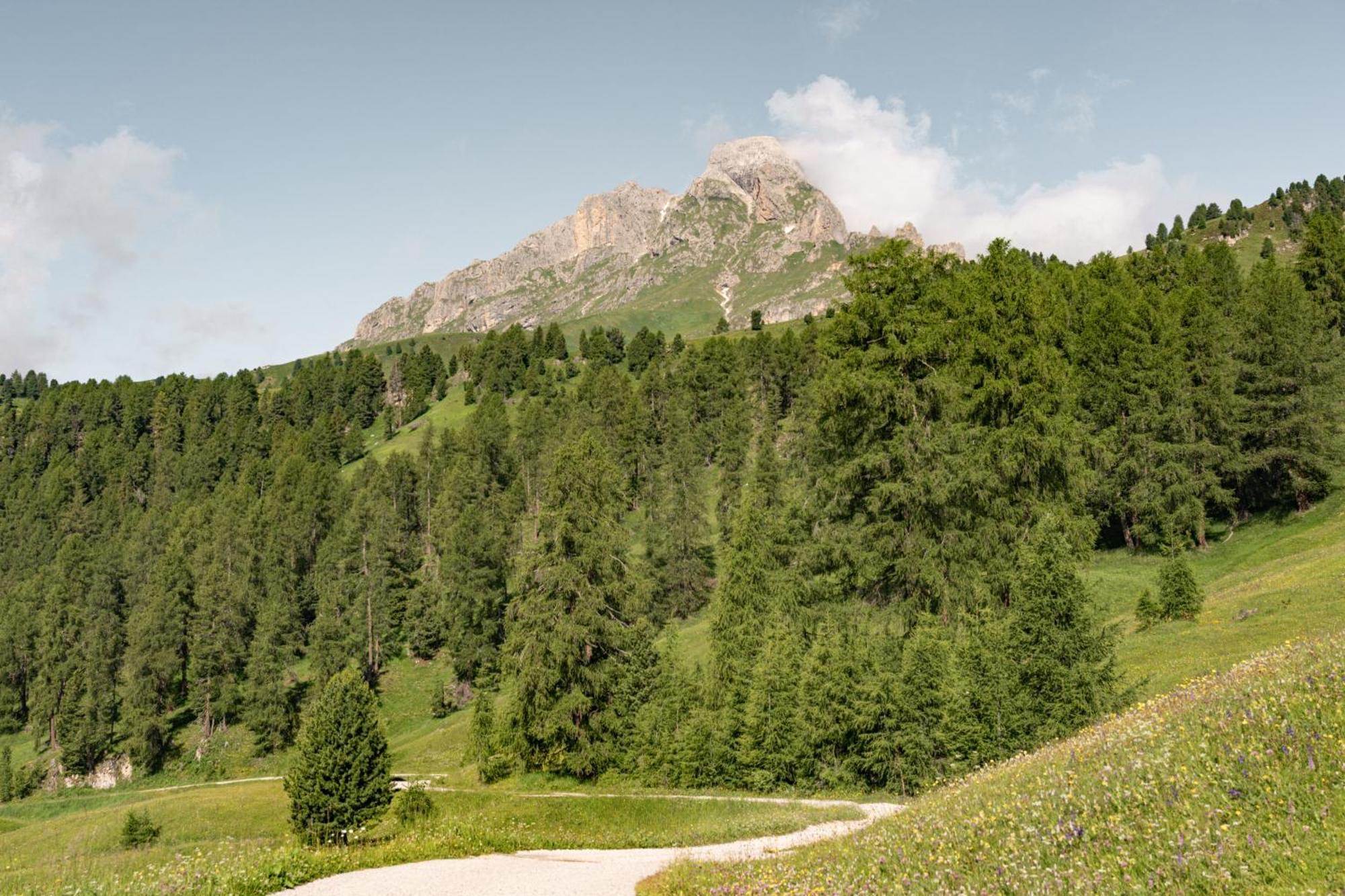 Ciasa Iachin Mountain Apartment San Martino in Badia Exterior foto
