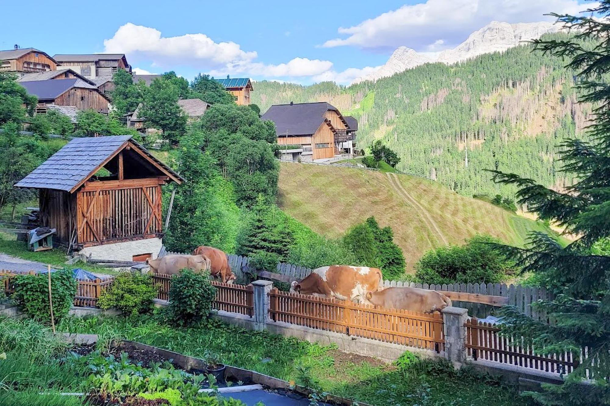 Ciasa Iachin Mountain Apartment San Martino in Badia Exterior foto